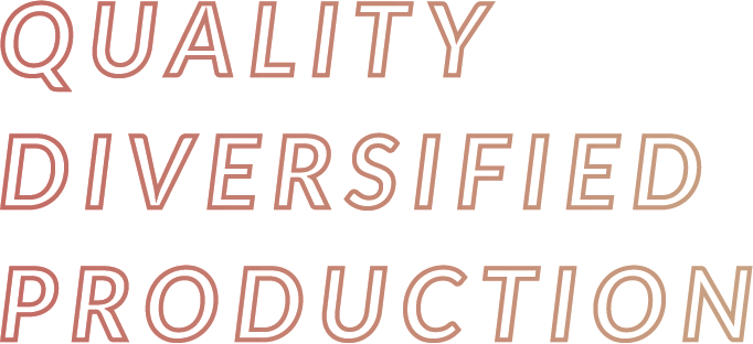 QUALITY DIVERSIFIED PRODUCTION